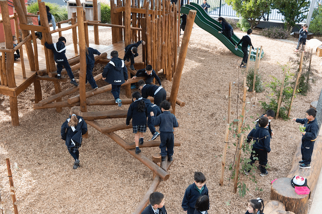 Caulfield Grammar