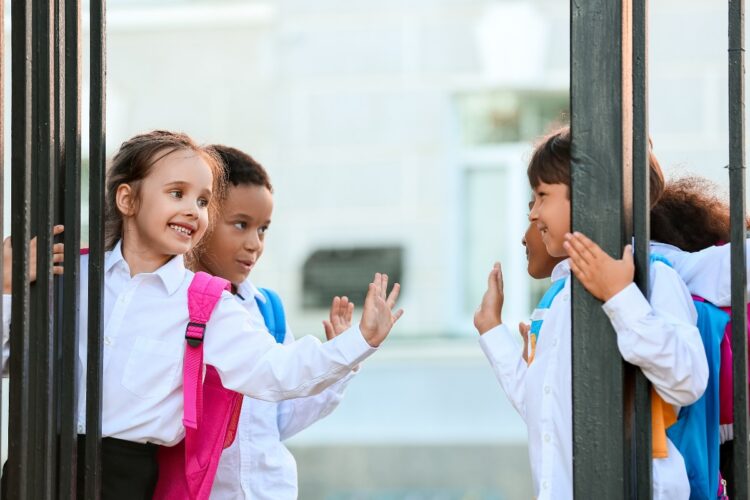 Multi-school organisations are bound together through a united executive leadership that is accountable for students’ results. Image: Pixel-Shot/stock.adobe.com