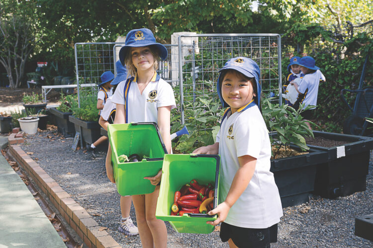 Carey Baptist Grammar School joined the ResourceSmart Schools Program in 2023. Image: Fiona Sexton