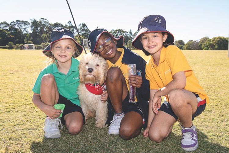 The Lakes College’s therapy dog (in training), Pendles. Image: The Lakes College