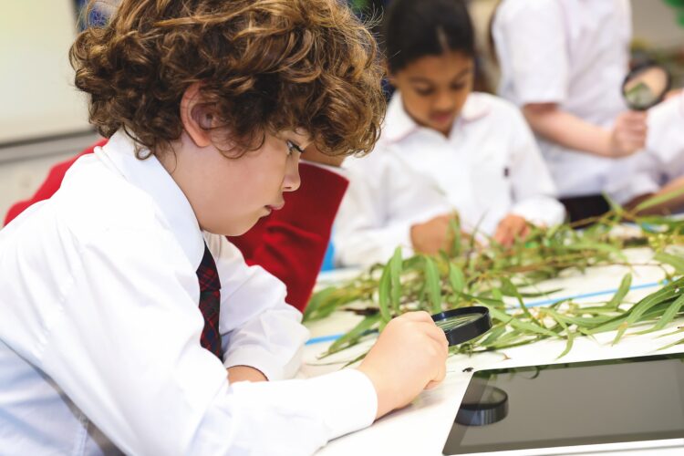 Imagination and innovation take
centre stage in the Junior School. Image: The McDonald College