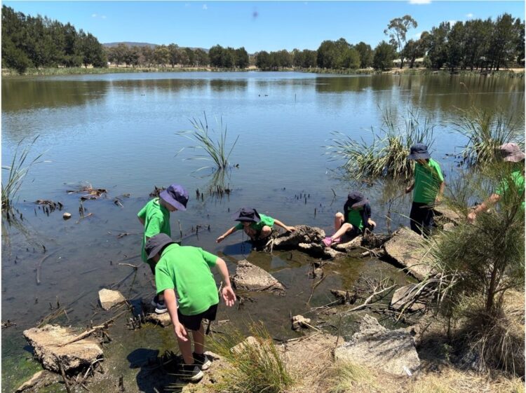 Students from Bonython Primary School explore the waterways on Country.  Image: Bonython Primary School