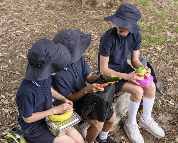 Overport Primary School in Frankston is one of a number of schools taking part in the Healthy Places Healthy Futures initiative. Image: Cancer Council Victoria.