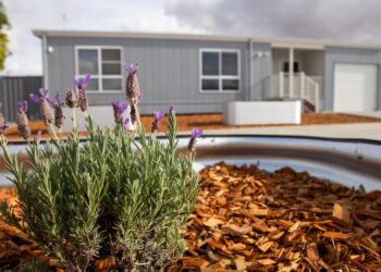 Eight modular homes in Broken Hill are now ready for teachers to move in as part of the Key Worker Housing Program. Image: NSW Government.