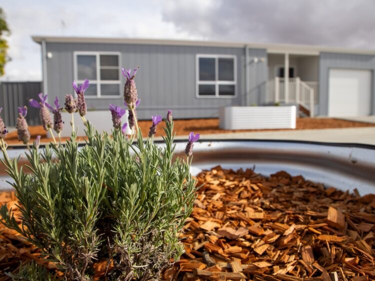 Eight modular homes in Broken Hill are now ready for teachers to move in as part of the Key Worker Housing Program. Image: NSW Government.